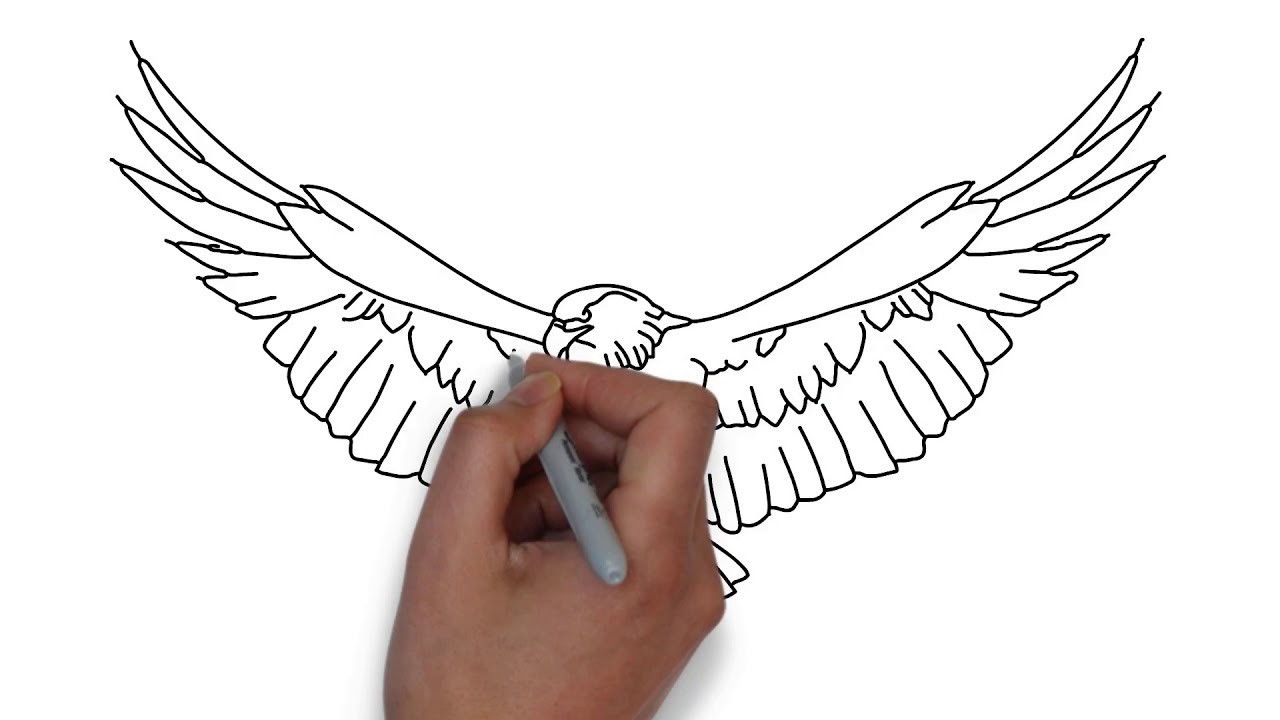Como Dibujar una Águila Paso a Paso Facil para Niños Video Tutorial