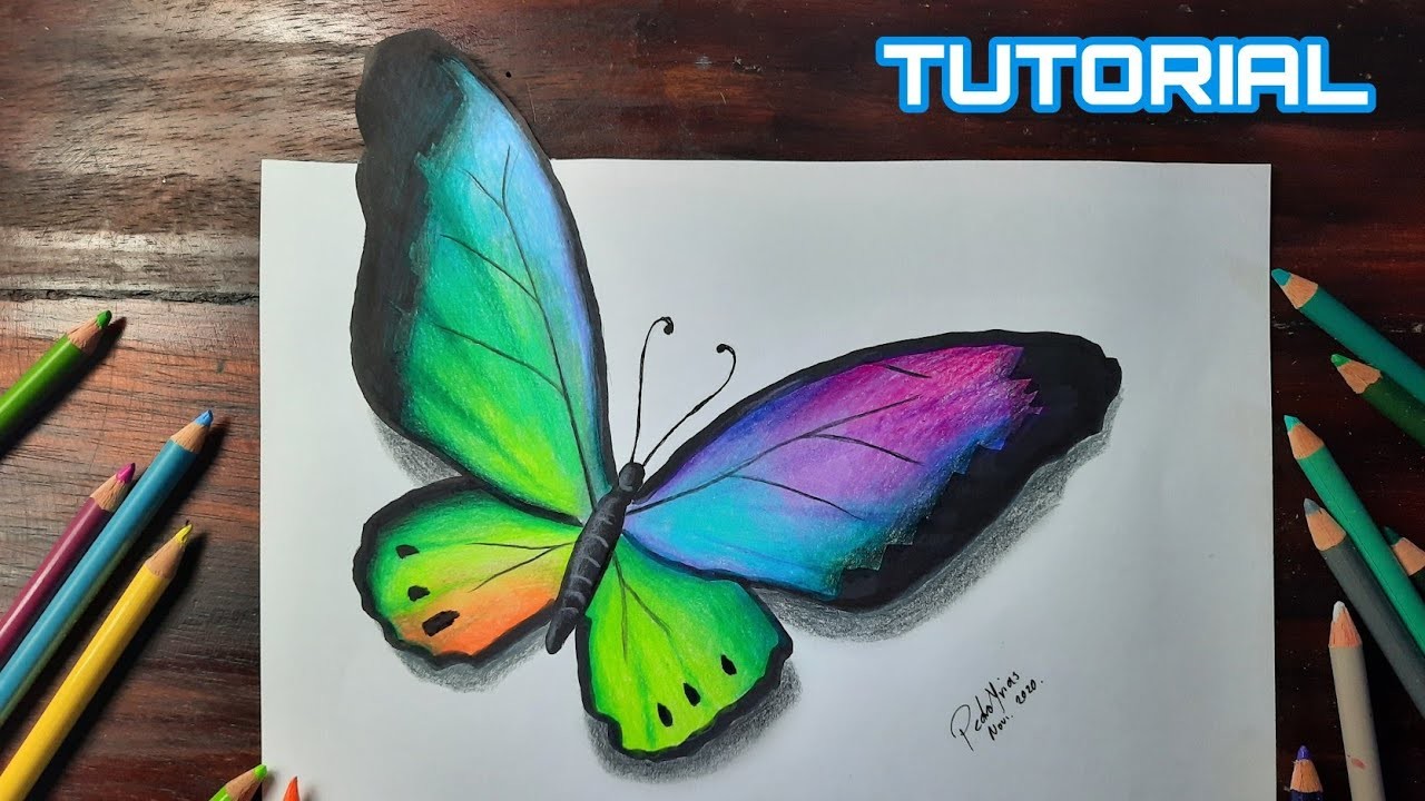 Cómo Dibujar Una Mariposa en 3D