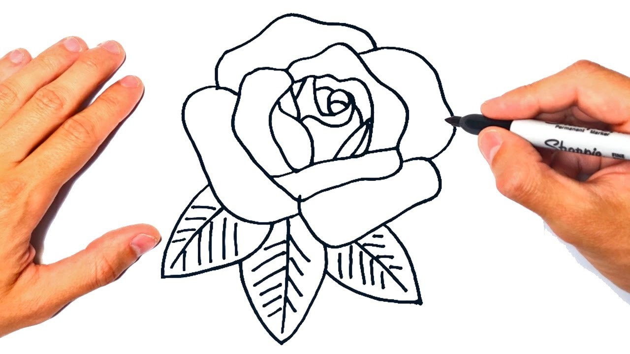 Cómo dibujar una Rosa Paso a Paso