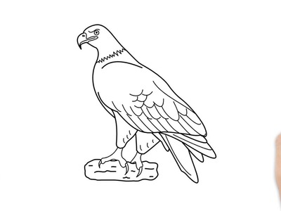 Cómo dibujar un águila