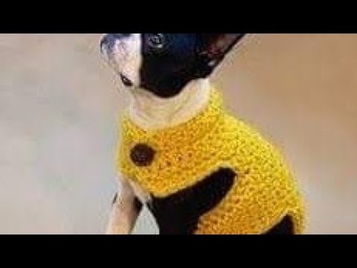 Hermosa ropa para perro tejida a crochet chihuahua para principiantes