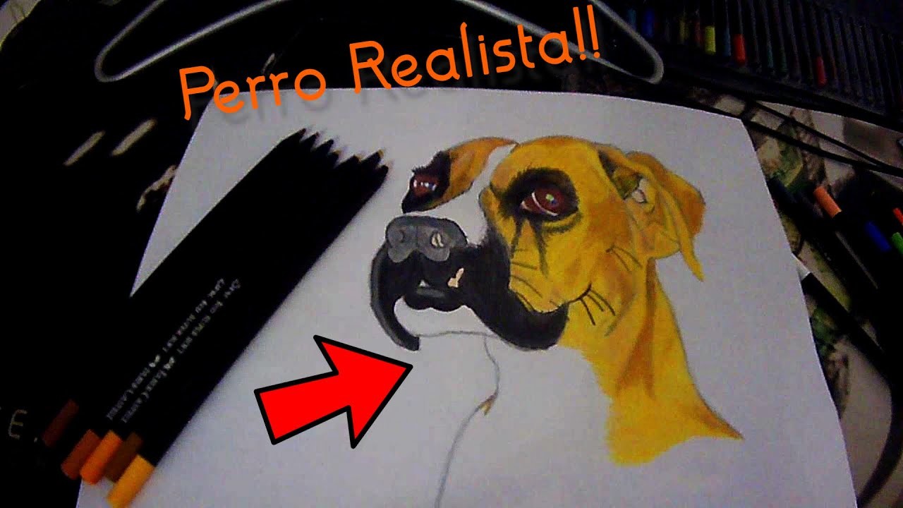 Como dibujar a un perro REALISTA! Con lápices de colores!! - How to draw a realistic dog - Da SanArt