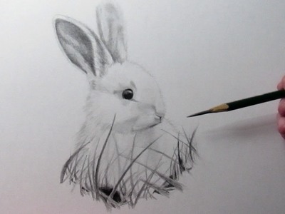 Cómo dibujar un Conejo