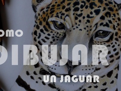 Tutorial Como dibujar un Jaguar paso a paso. how to draw a Jaguar