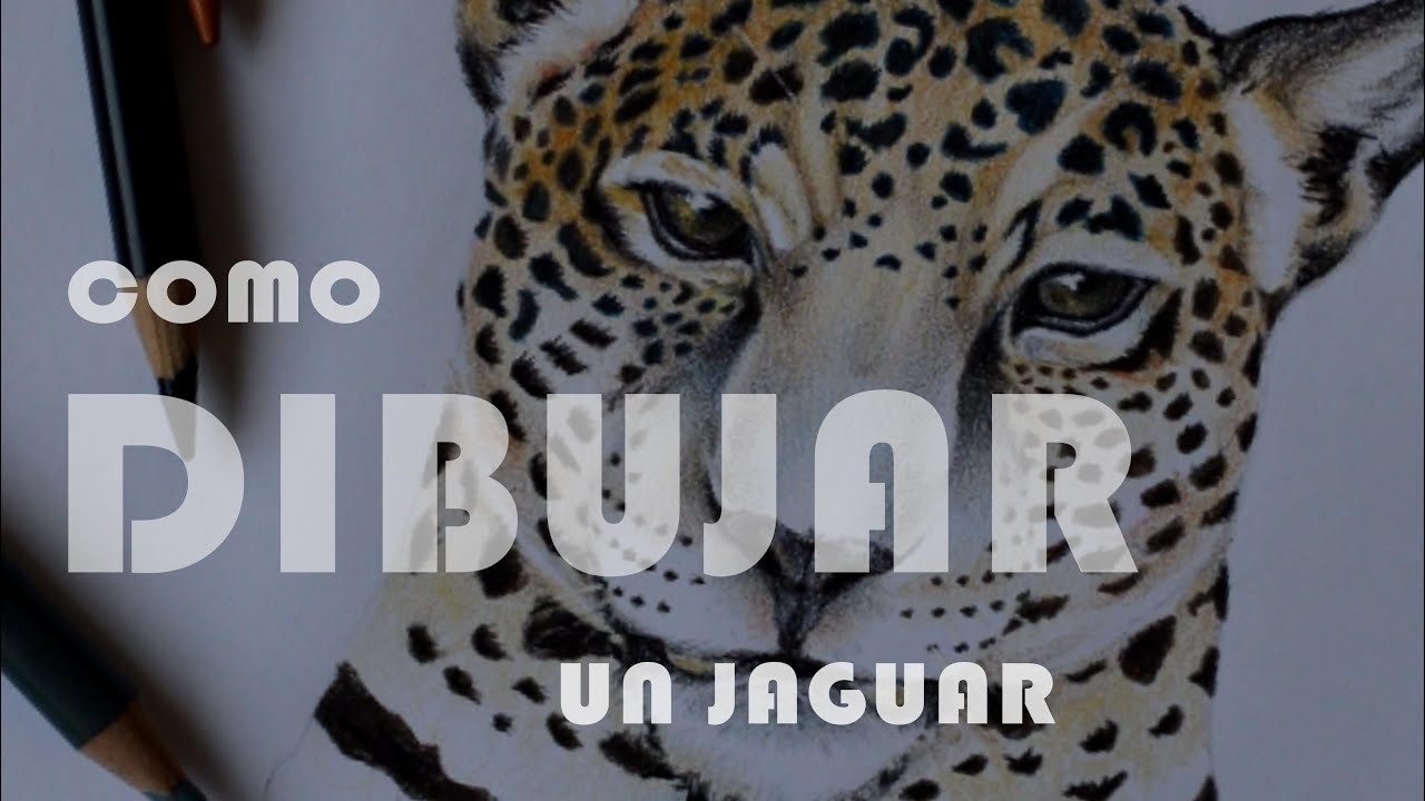 Tutorial Como dibujar un Jaguar paso a paso. how to draw a Jaguar