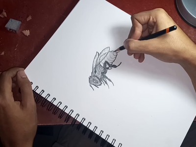 COMO DIBUJAR | Una Abeja | Muy Facil - Paso a Paso