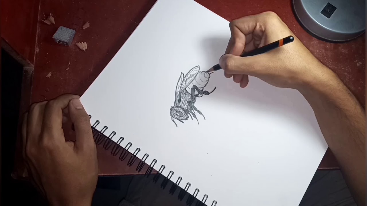 COMO DIBUJAR | Una Abeja | Muy Facil - Paso a Paso