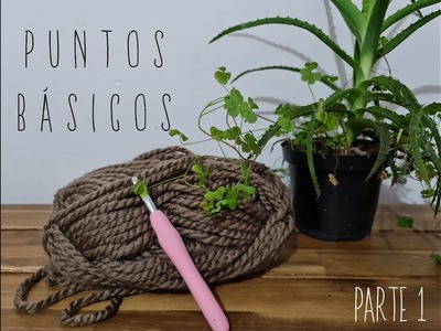 Tutorial Puntos Básicos crochet (cadena, punto bajo y medio)