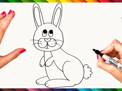 Cómo Dibujar Un Conejo Paso A Paso ???? Conejo Dibujo