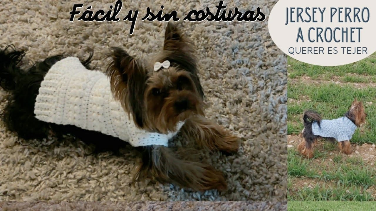 Como hacer un sweater Jersey para perro a crochet ☆ ropa mascotas a crochet ☆ crochet fácil ☆