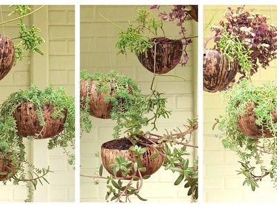 Ideia linda para pendurar plantas DIY - Como pendurar vaso de casca de coco