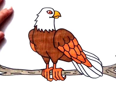 Cómo dibujar un aguila muy fácil y paso a paso - Dibujo de un águila