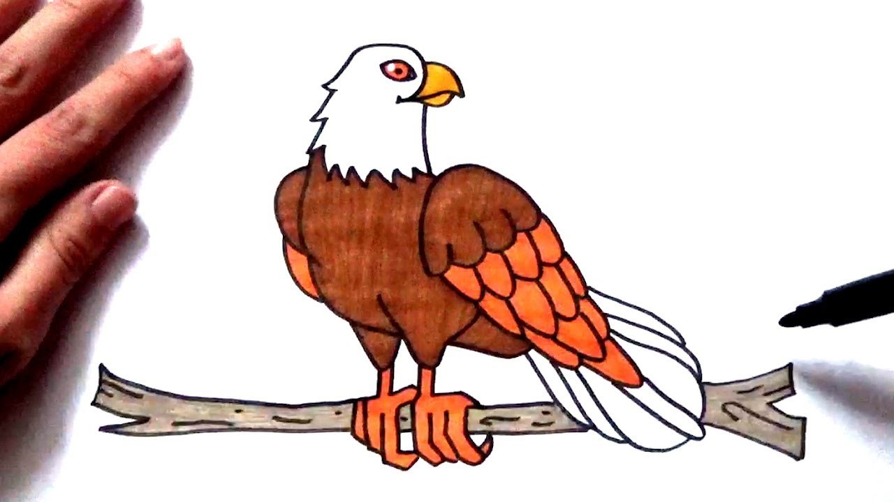 Cómo dibujar un aguila muy fácil y paso a paso - Dibujo de un águila