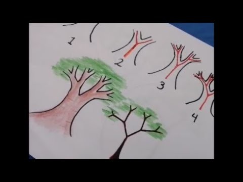 Dibujar un árbol súper fácil con Ranita