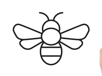 Cómo dibujar una abeja