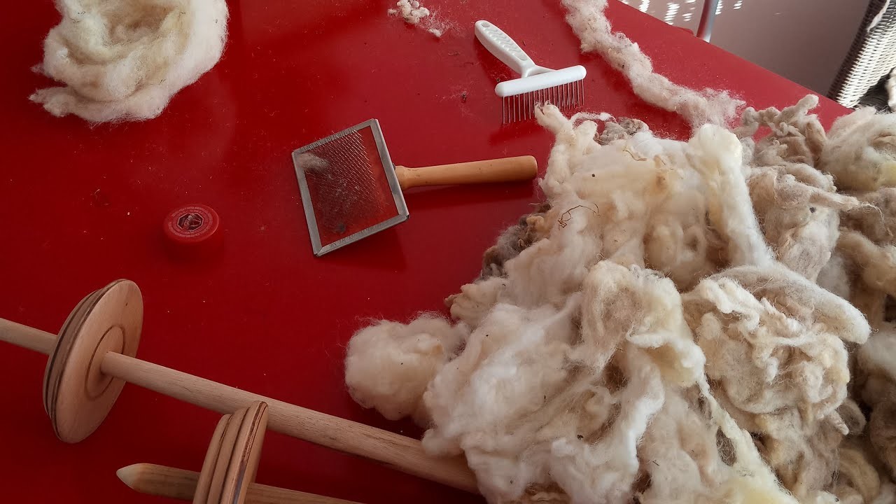 Aprende como escarmenar o cardar lana de oveja
