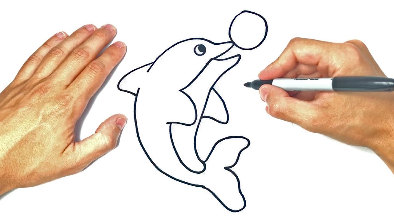 Cómo dibujar un Delfín | Dibujo de Delfín