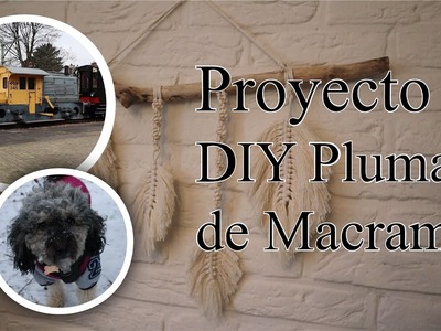 DIY | COLGANTE PLUMAS DE MACRAMÉ | ESTACIÓN DE TREN TRANSFORMADA | MEXICANO EN PAISES BAJOS