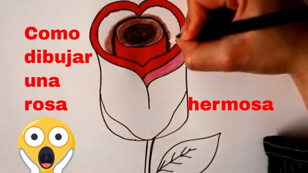 Como dibujar una rosa fácil | Dibujos  2021