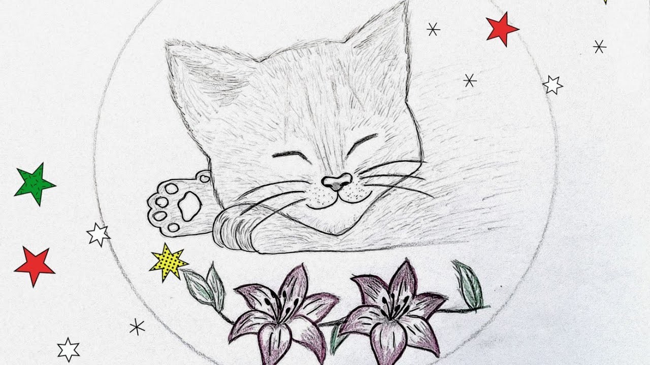 ????COMO DIBUJAR UN GATO ????PASO A PASO