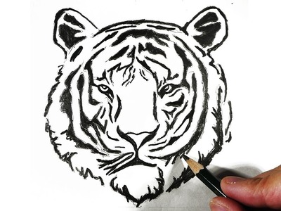 Cómo dibujar un tigre con lápiz fácil paso a paso explicado