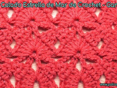 Cómo Tejer el Punto Calado Estrella de Mar de Crochet - Ganchillo Paso a Paso