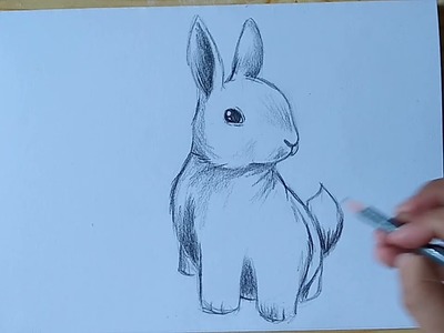 Cómo dibujar un conejo FACIL