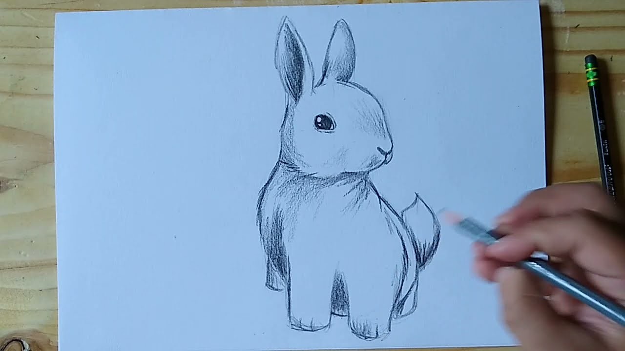Cómo dibujar un conejo FACIL