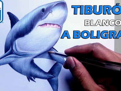 Cómo dibujar un Tiburón blanco con bolígrafo . Presentado por APEALZ