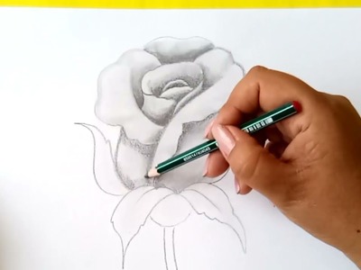 Como Dibujar una Rosa a Lápiz