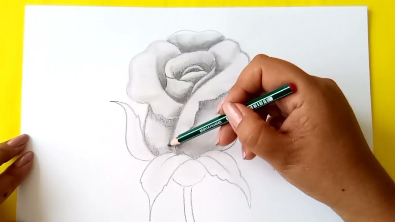 Como Dibujar una Rosa a Lápiz