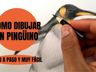 Cómo Dibujar Un Pingüino realista Paso a Paso
