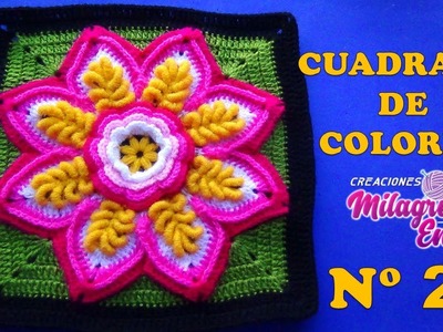 Cuadrado N° 25 de colores tejido a crochet para colchas y cojines: FLOR EN PUNTOS ROCOCO Y RELIEVES