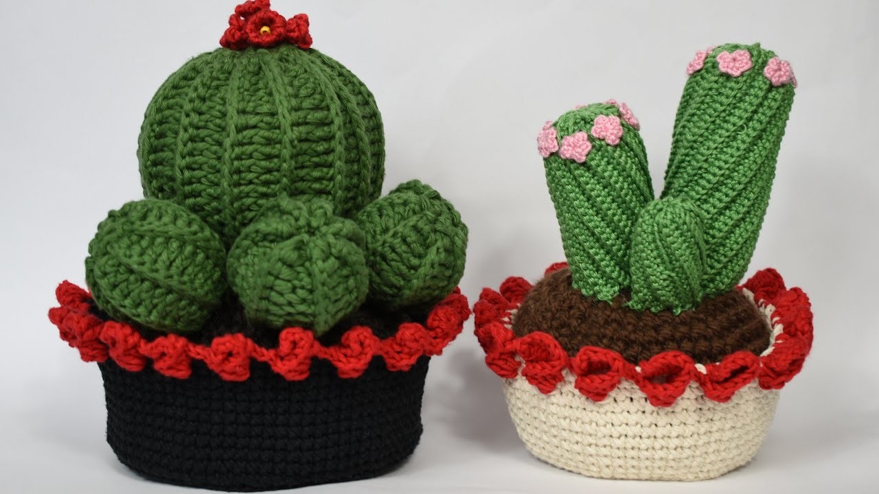 MACETA DECORATIVA PARA LOS CACTUS