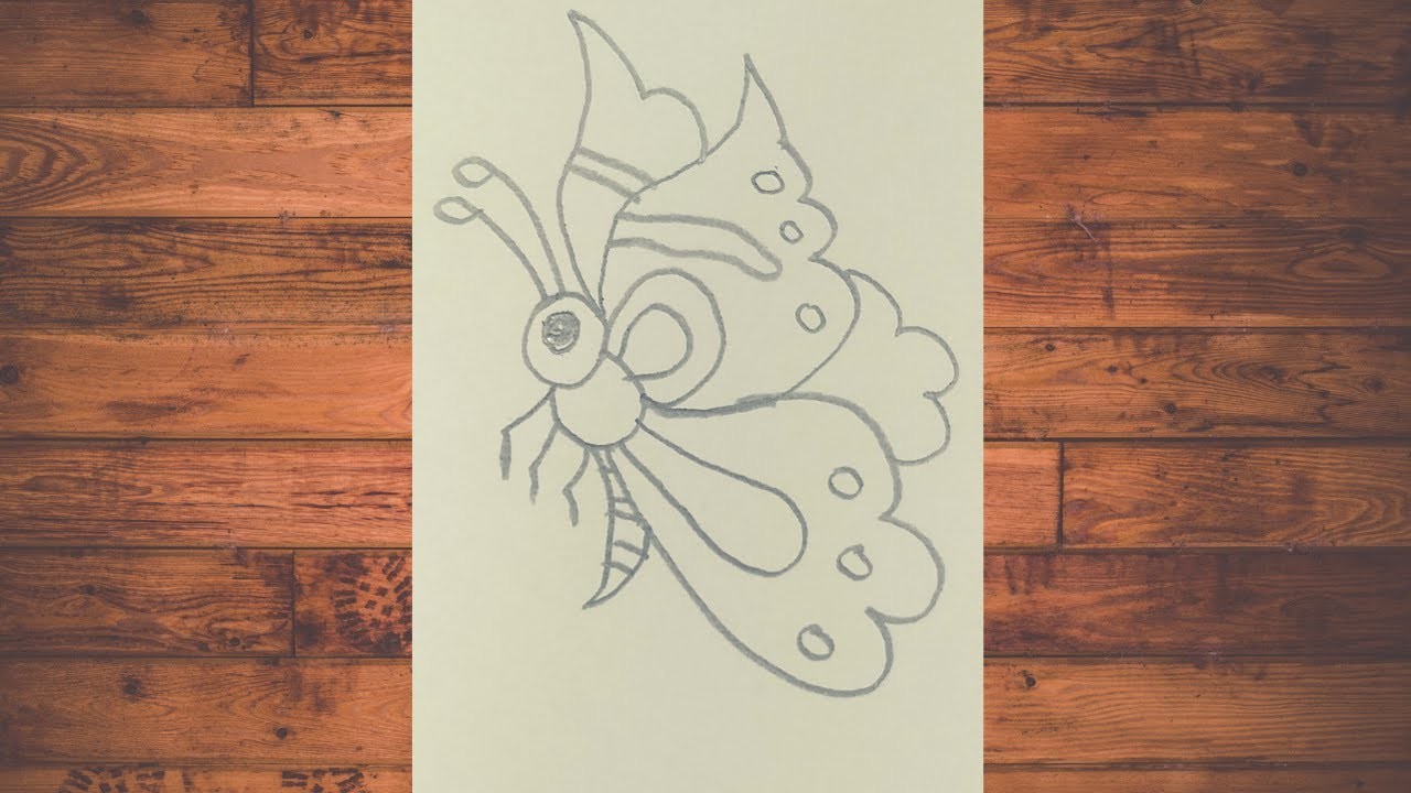 Como dibujar una mariposa fácil y rápido con lápiz super fácil | How to draw a buterfly easy