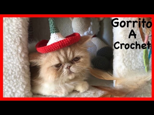 ????GORRO de CROCHET para Mascota,???? Sombrero MEXICANO Fiestas Patrias para GATOS
