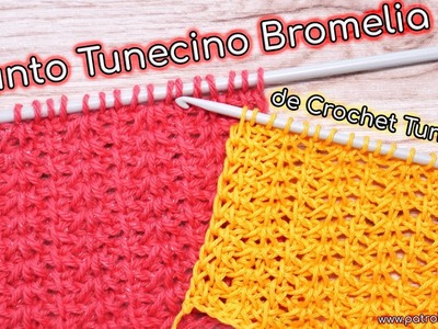 Aprende Cómo Tejer el Punto Tunecino Bromelia de Crochet Tunecino Paso a Paso