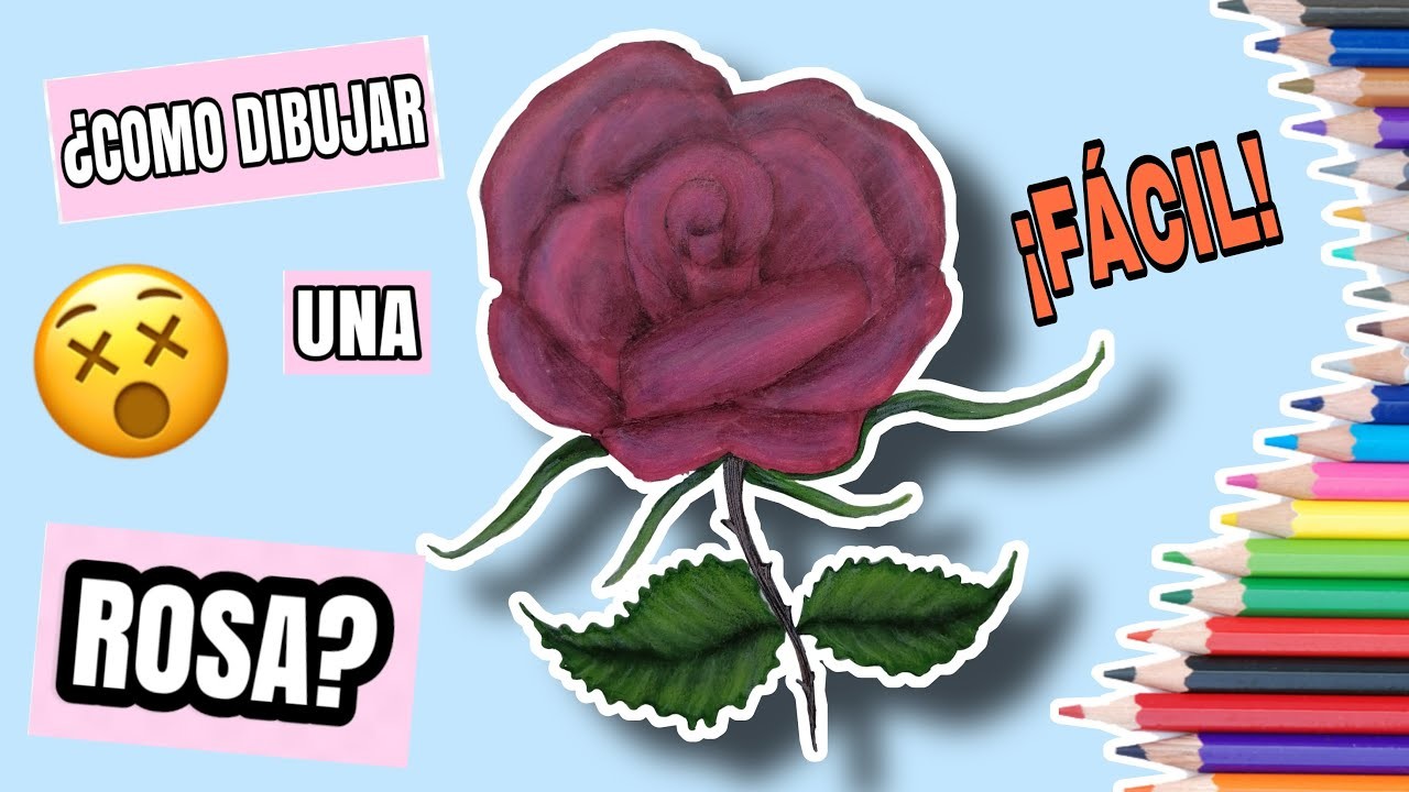 COMO DIBUJAR UNA ROSA FACIL (EXPLICACION) PASO A PASO