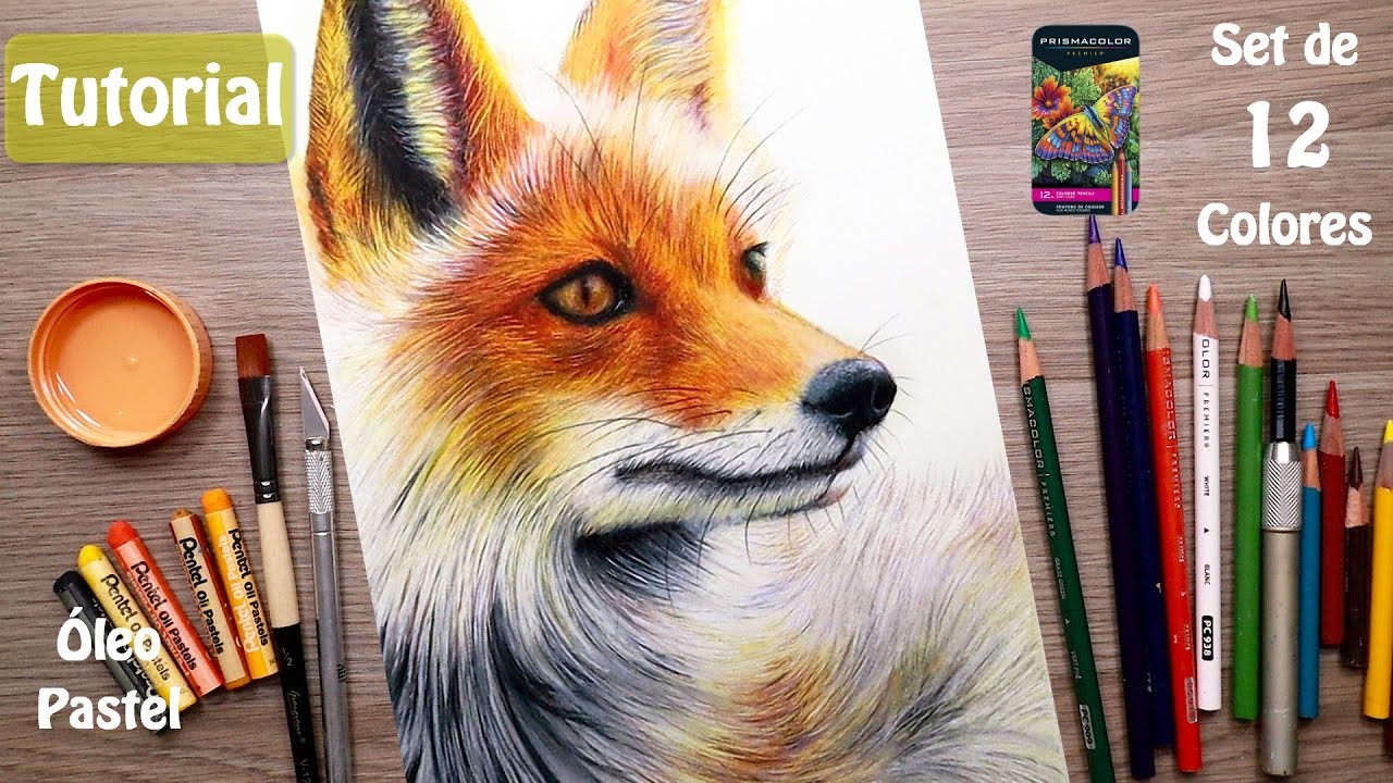 Cómo dibujar un zorro con lápices de colores y óleo pastel - Dibujar pelaje de animal