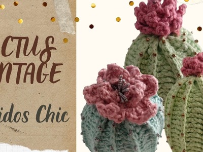 Amigurumi Cactus Vintage | Crochet | Tejidos Chic