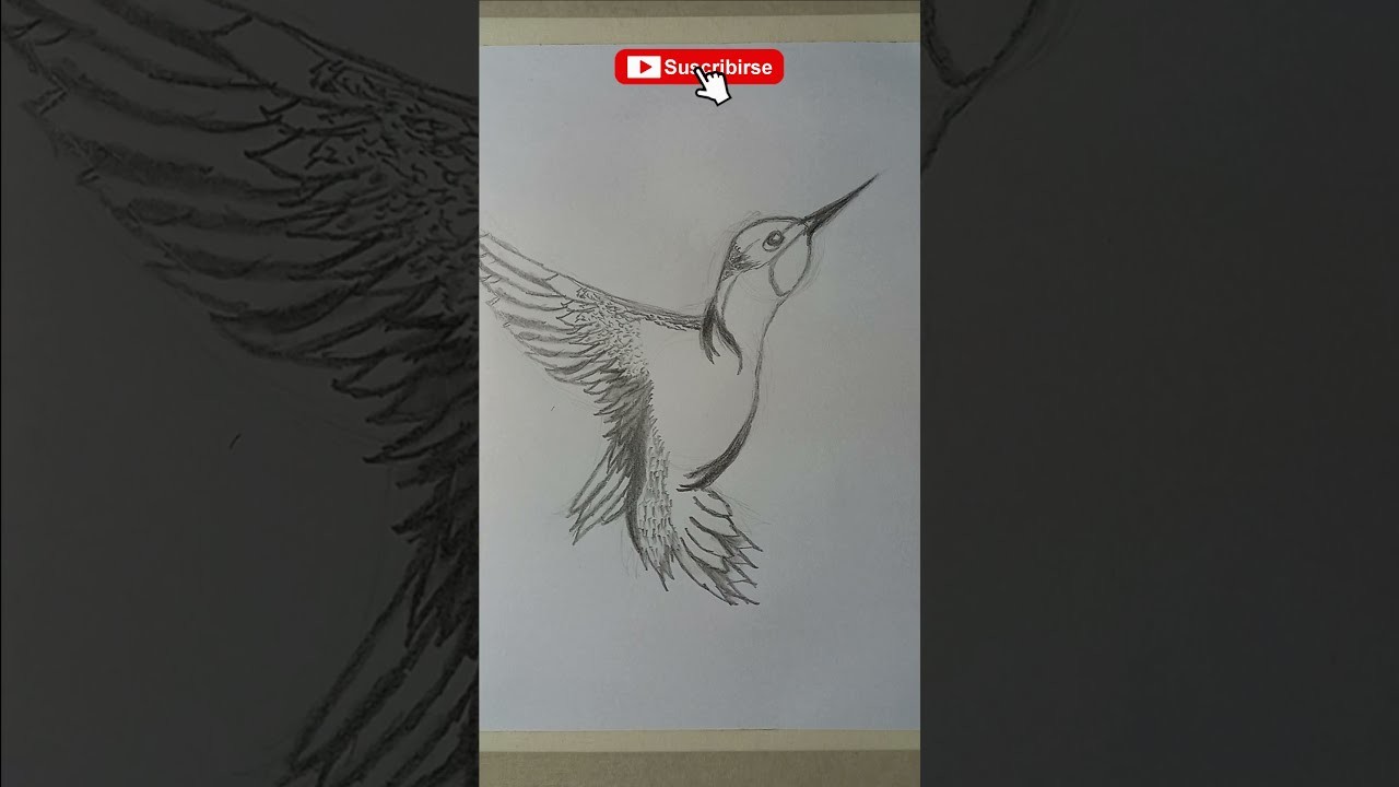 Cómo Dibujar Colibri Fácil y Rápido - Dibujos a Lápiz en un minuto