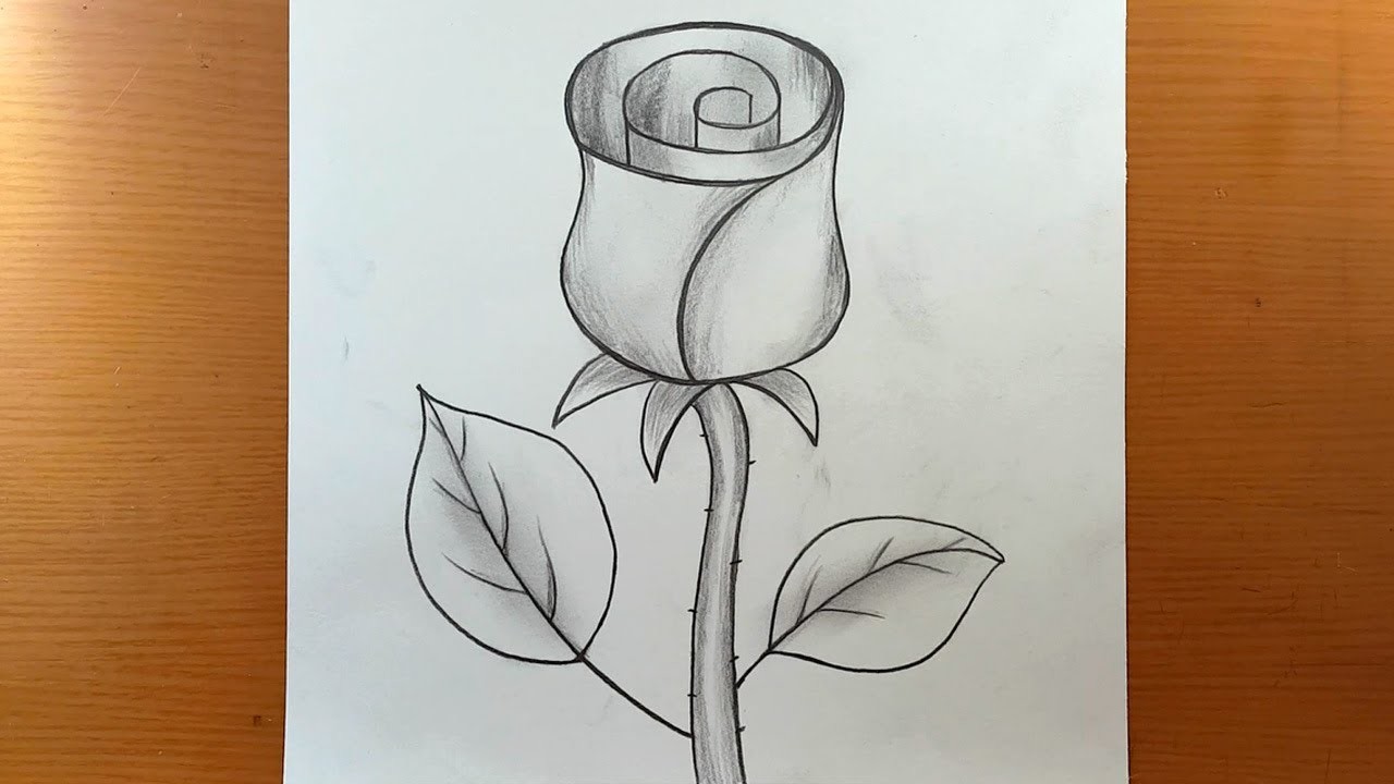 Cómo dibujar rosas muy fácil paso a paso - Cómo dibujar rosas con lápiz | dibujos para dibujar