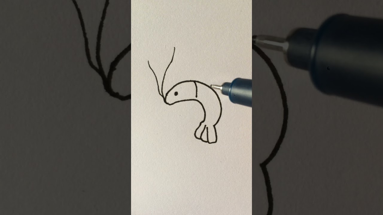 Como dibujar un camarón ????