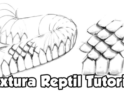 Como Dibujar Texturas #1- Reptil - Serpiente | Tutorial
