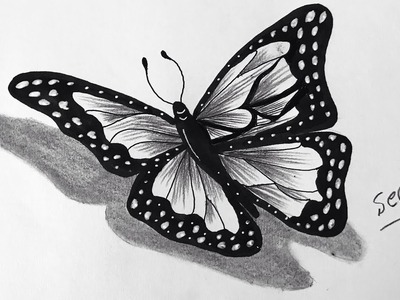 How to draw a butterfly with pencil - easy butterfly drawing