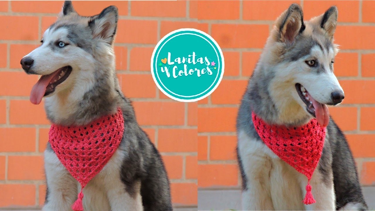 ????❤ BELLA Bufanda triangular para MASCOTAS tejida a crochet | Lanitas y Colores