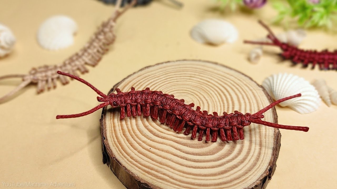 Tutorial DIY Macrame centipede insect