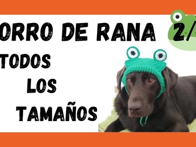 ???? Disfraz de RANA para mascotas. Cómo hacer un GORRO de rana a crochet para PERRO Y GATO Parte 2