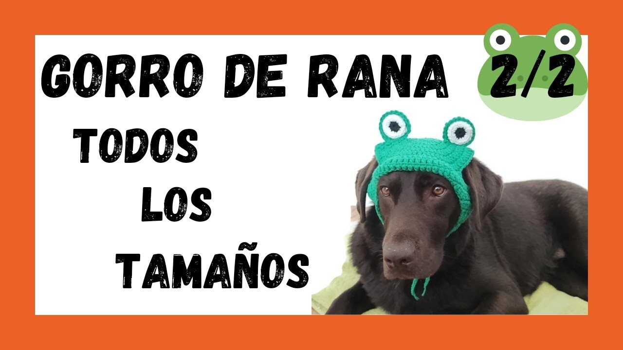 ???? Disfraz de RANA para mascotas. Cómo hacer un GORRO de rana a crochet para PERRO Y GATO Parte 2