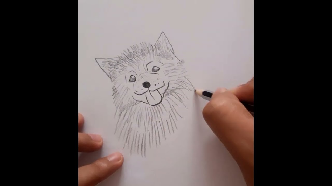 #Shorts | Cómo dibujar un Perro